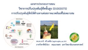 การปรับปรุงพันธุ์พืชให้ต้านทานต่อสภาพแวดล้อมที่ไม่เหมาะสม (01003575)